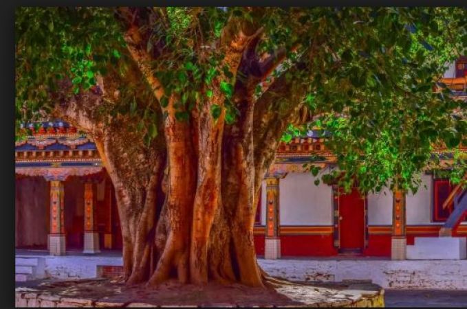 ravivaar-ke-upay-ravivaar-ke-hindi-upaay